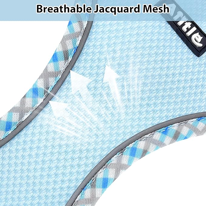 Step in Dog Harness & Leash Set with Reflective Design, Blue XXS | No Pull Puppt Pet Vest, Breathable Mesh, Escape-Proof Design with High-Stick Magic Tape, Outdoor Use for Chihuahua, Maltese - Image 9