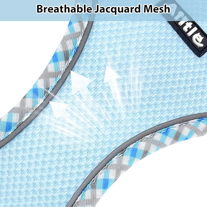 Medium Dog Harness and Leash Set with Breathable Mesh, Blue M | No Pull Step-in Vest, Reflective & Escape-Proof Design with High-Stick Magic Tape, Indoor/Outdoor Use for Teddy, Schnauzer - Image 3