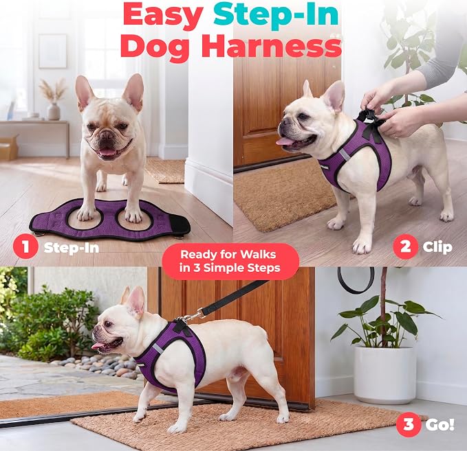 Voyager Step-in Air Dog Vest Harness - Purple/Black Trim, Small | 14.5-16" in Chest, Reflective Bands, All Weather Breathable Air Mesh, Cats Compatible, Lightweight, Fast Drying - Image 3