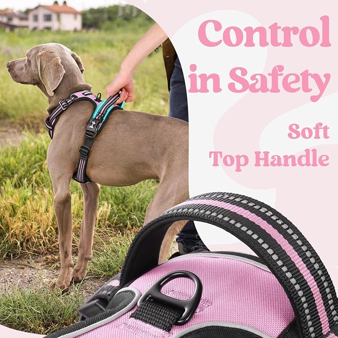 rabbitgoo Dog Harness for Large, Updated Easy On & Off with 3 Buckles | No Pull No Choke, Walking with 2 Clips and Handle, Adjustable Soft Reflective, Pink, X-large - Image 4