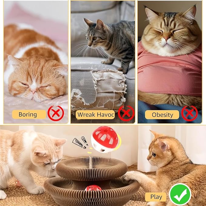 SREBAY Cat Toy Interactive, Accordion Kitty Wheel Exerciser | 2Pack, Magic Organ Scratcher Cardboard, Spiral Cat Tunnel, Ball Track Self Play Entertainment Toy - Image 3