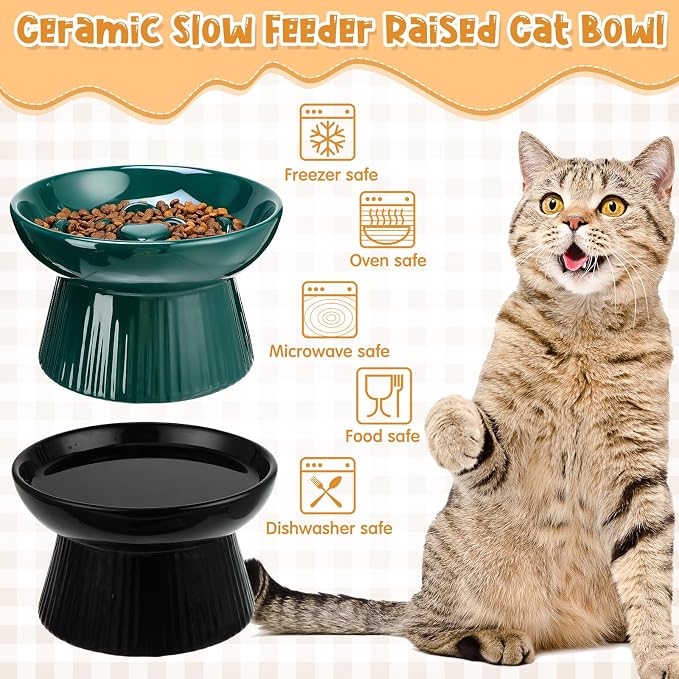 Tioncy 2 Pcs Ceramic Elevated Slow Feeder Cat Bowl, Raised Cat Slow Feeder Bowl, Anti Vomiting for Dry and Wet Food, No Spill High Edge Easy Clean Dishwasher Safe (Dark Green,Black) - Image 5
