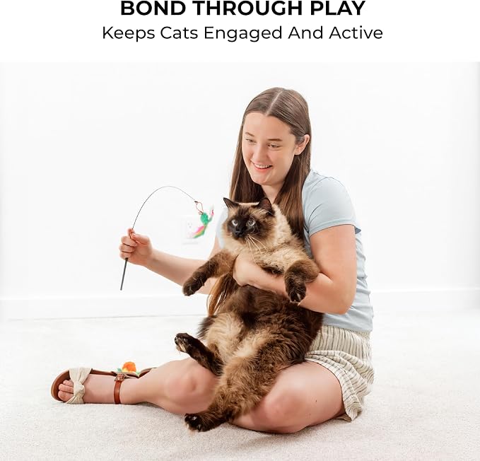 Cat Toys for Indoor Cats, Interactive Cat Toy Wand, Kitten Stuff, 18 Lures | Heavy Stable Base Prevents Toppling, Dual Suction Cup For Extra Play Options, Trigger natural feline hunting instincts today - Image 5