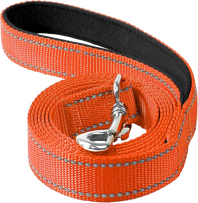 4FT Reflective Dog Leash, Padded Handle for Small Medium Dogs | Comfortable Nylon, Soft Handle Cushioning, Reflective Safety at Night, Training Leash for Park & Hiking (3/4in, Orange) by Erbine