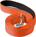 4FT Reflective Dog Leash, Padded Handle for Small Medium Dogs | Comfortable Nylon, Soft Handle Cushioning, Reflective Safety at Night, Training Leash for Park & Hiking (3/4in, Orange) by Erbine