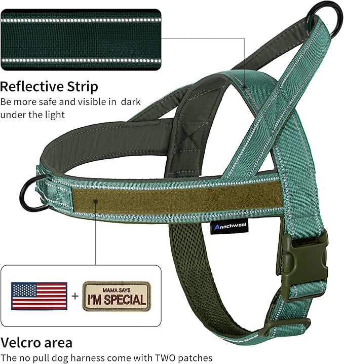 Annchwool No Pull Dog Harness with Padded Handle+5 Ft Leash,Reflective Strip Escape Proof and Quick Fit to Adjust Dog Harness,Easy for Training Walking for Small & Medium and Large Dogs(Green-Set,S) - Image 2