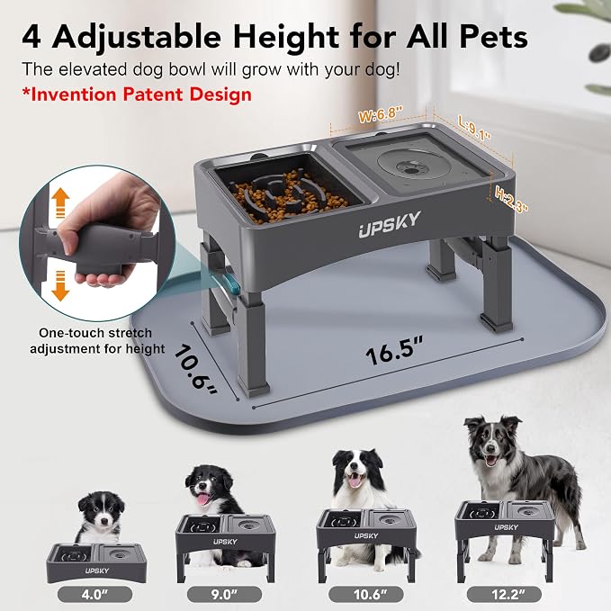 UPSKY 3-in-1 Elevated Dog Bowls Set with 4 Height Adjustable Stand and Mat | 304 Stainless Steel Bowl, No Spill Water Bowl, Slow Food Bowl, Anti-Slip, Dishwasher Safe, Suitable for Small Medium Dogs - Image 3