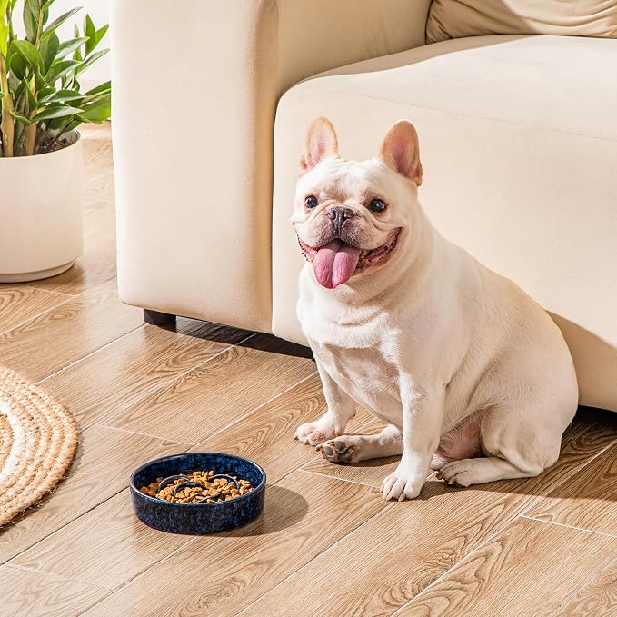 vancasso Slow Feeder Dog Bowl, 0.6 Cup Ceramic Puzzle Dish for Small Breeds | Maze Dog Food Bowl for Fast Eaters, Slow Feeding Design for Small Dogs and Cats, Promotes Healthy Eating Habits, Blue - Image 8