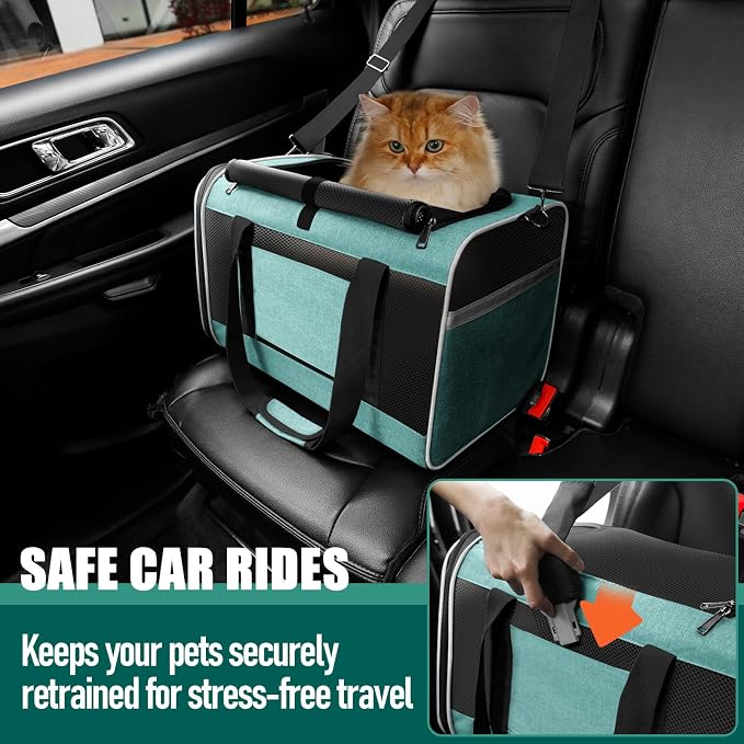GAPZER Large Cat Carrier Soft, Collapsible Travel Pet Carry Bag, Small Dogs | Big Kitten Cat 20lbs Mainecoon, Top Open Travel Shih-Tzu Pet Kennel, Yorkie Small Dog 10 Pounds, 18x12x12, Durable Cloth Teal - Image 5