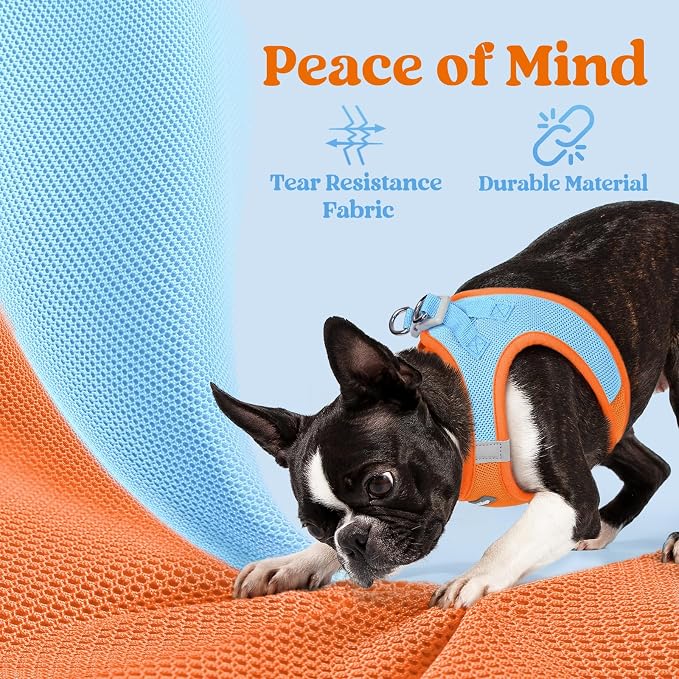 rabbitgoo Step-in Small Dog Harness, Puppy Vest for Small Sized Pet | Easy Put on and off, Lightweight, Soft, Breathable Quick-Dry Air Mesh for Comfortable Secure Walking, Blue & Orange M - Image 4