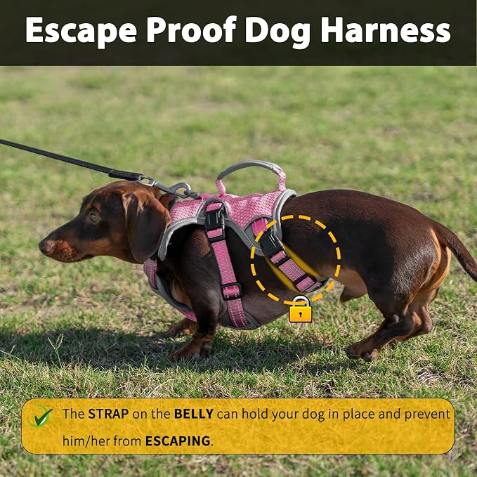 Escape Proof Dog Harness, Dachshund Harness, Reflective Dog Harness with Handle, Durable,Adjustable Vest for Small Medium Large Dogs Walking, Training, and Running Gear (Pink,M) - Image 2