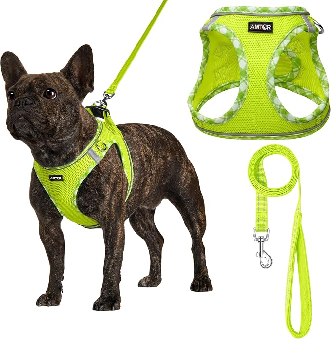 AMTOR Small Dog Harness with Leash Set, No Escape Easy Walk Puppy Harnesses for Training Walking, Step-in Reflective Soft Dogs Vest for XS S Medium Extra-Small Large Sized Dog(Green/White,L) by AMTOR