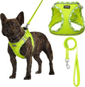 AMTOR Small Dog Harness with Leash Set, No Escape Easy Walk Puppy Harnesses for Training Walking, Step-in Reflective Soft Dogs Vest for XS S Medium Extra-Small Large Sized Dog(Green/White,L) by AMTOR