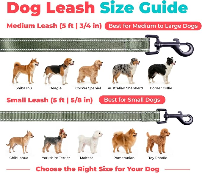Best Pet Supplies Voyager Nylon Dog Leash - Moss Green, Medium | 5ft in Length, 3/4" in Width, Reflective, Soft Neoprene Handle, Heavy Duty Metal Clips for Running, Walking & Training - Image 6