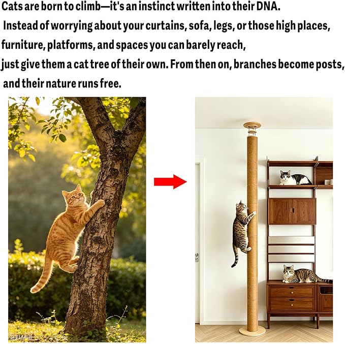Floor to Ceiling Cat Scratching Post Tree, Adjustable Height 40in-120in Tall PVC Cat Climbing Pole, Sturdy Cat Activity Tower for Indoor Cats to Climb, Scratch & Play - Image 3