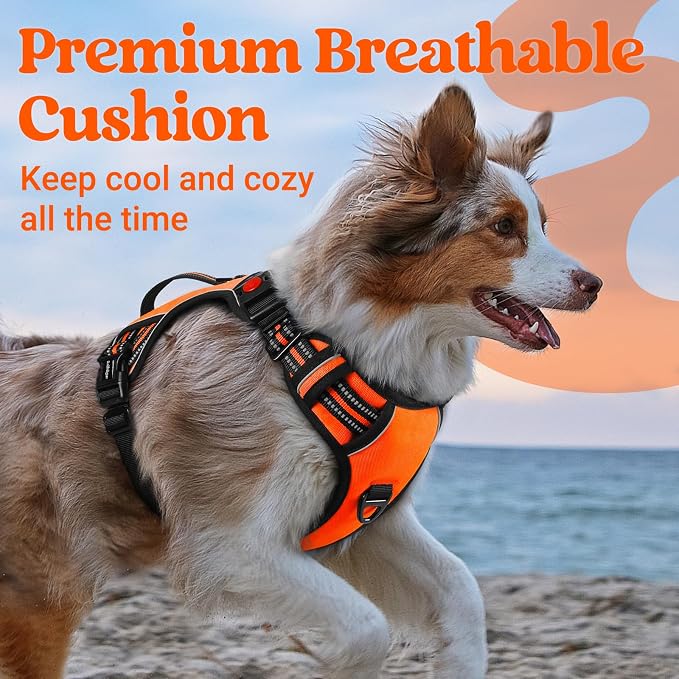 rabbitgoo Large Dog Harness, Easy Wear with 3 Buckles and Lift Handle | No Pull with Front Clip for Walking, Adjustable Soft Padded, Reflective, Easy Control, Orange, Large - Image 7