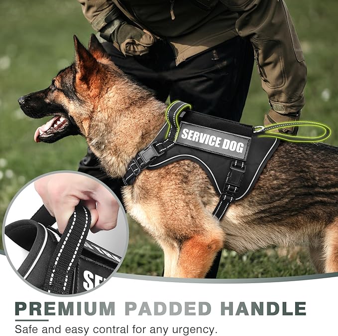 Tactical Dog Harness, No Pull Dog Harness for Medium Large Dogs with Handle & Molle, Military Service Dog Vest Harness in Training Pet Harness for Small Dogs - Image 2