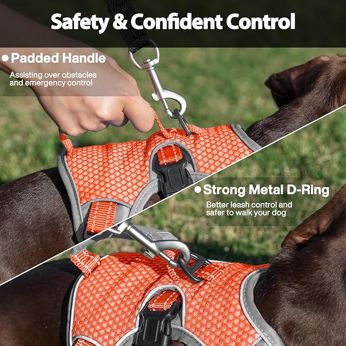 Escape Proof Dog Harness, Dachshund Harness, Reflective Dog Harness with Handle, Durable,Adjustable Vest for Small Medium Large Dogs Walking, Training, and Running Gear (Orange,L) - Image 4