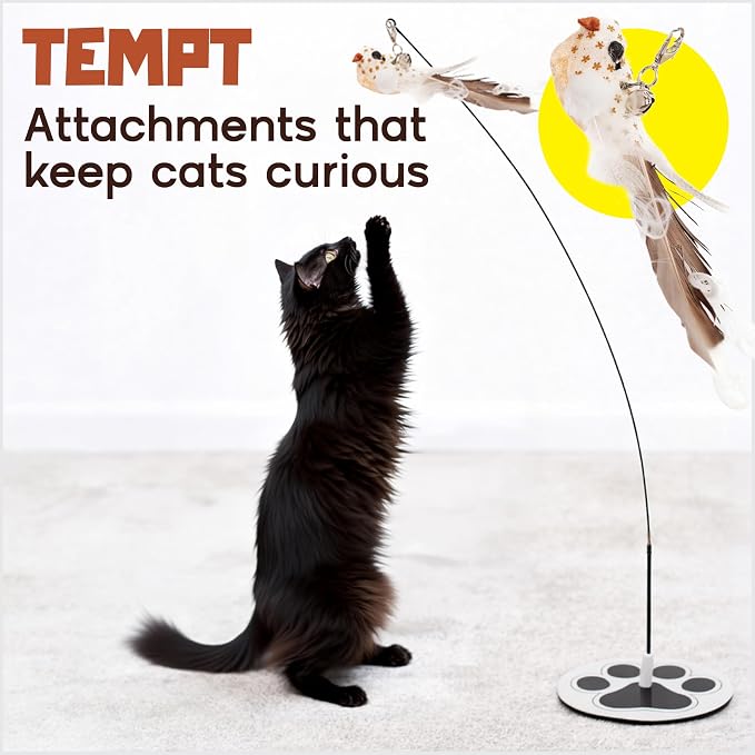 Interactive Cat Toys for Indoor Cats: Flying Bird Cat Toy Wand 5 Attachmets | Trigger natural hunting instincts! The no-topple base secures 5 bird feather lures for vigorous, active play. - Image 5