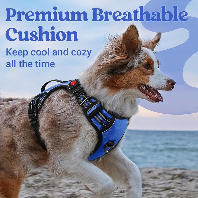 rabbitgoo Large Dog Harness, Easy Wear with 3 Buckles and Lift Handle | No Pull with Front Clip for Walking, Adjustable Soft Padded, Reflective, Easy Control, Blue, Medium - Image 7