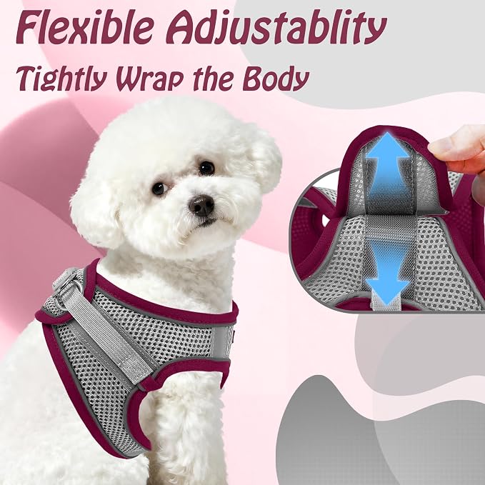AIITLE Dog Harness and Leash Set, Step-in Puppy Pet Vest, Burgundy M | Breathable Mesh, Adjustable Fit, Reflective Design, Padded Leash Handle, for Small-Medium Dogs & Cats, Walking, Training - Image 7