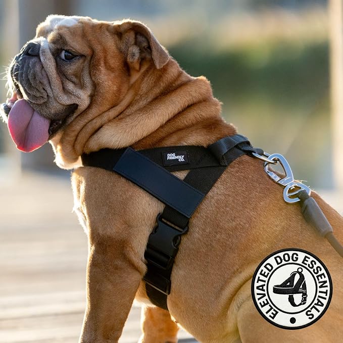 Dog Friendly Co. Dog Harness for Large Dogs (Black, Large) | One Click Buckle, Chafe Resistant Webbing, Adjustable Neck & Chest, and Heavy Duty D-Ring, Sturdy Comfortable and Easy to Use - Image 5