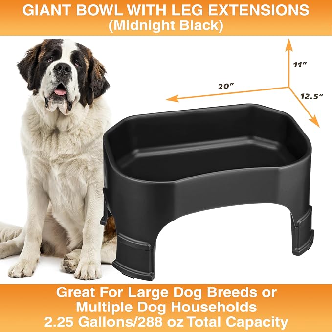 Neater Pet Brands Extra Large Water Bowl for Dogs, Elevated Outdoor Dog Water Bowl (2.25 Gallon XL Capacity), Big Trough Style Food Dish for Indoors or Outside, No Spill Large Dog Bowls, Black - Image 6