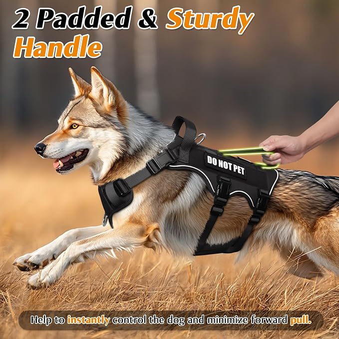 WINSEE Escape Proof Dog Harness with Double Handle+4 Removable Patches | Service Working Molle Harness with Double Handle for Small Dogs, Tactical Pet Reflective Vest for Walking Hiking Hunting - Image 3