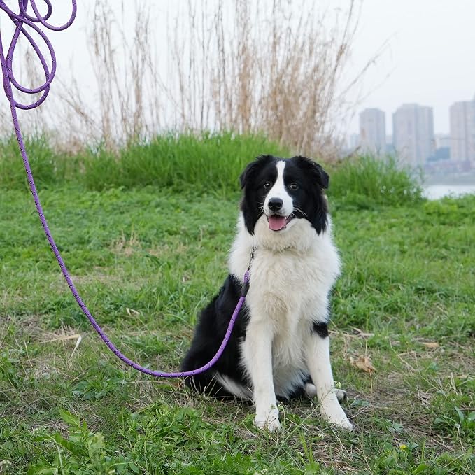 NTR Strong Dog Leash - 15FT Reflective Purple Rope with Swivel Lockable Hook and Padded Handle, Cat & Dog Leash for Small to Large Dogs, Training, Playing, Camping, or Backyard - Image 7