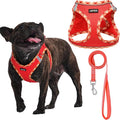 AMTOR Small Dog Harness with Leash Set, No Escape Easy Walk Puppy Harnesses for Training Walking, Step-in Reflective Soft Dogs Vest for XS S Medium Extra-Small Large Sized Dog(Red,XS) by AMTOR