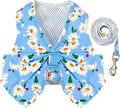 BAEJMJK Dog Harness and Leash Set with Bow Knot No Pull Pet Daisy Floral Harness with D-Ring Soft Mesh Dog Harness Vest Set Escape Proof Princess Puppy Harness for Small Girl Dogs Cats（Blue B M） by BAEJMJK