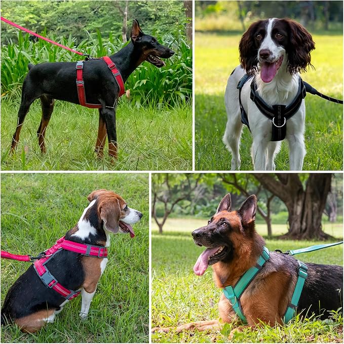 Plutus Pet No Pull Dog Harness, Adjustable Nylon Harness with Soft Padding | Reflective with Front Clip, Heavy Duty for Training and Walking, for Small Medium Large Dogs, Chocolate, XS - Image 6