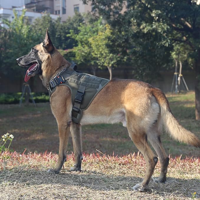 ICEFANG Tactical Dog Harness,for X-Large Dogs,Reflective No Pull Dog Vest | with Control Handle, Adjustable,Front Hook,2 Leash Clips,No Choke,Soft Padded,MOLLE Panel,Green,X-Large - Image 2