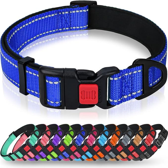 Taglory Reflective Dog Collar for Puppies, Gentle and Safe for Night Walks | Night-Walk Visibility, Soft Neck Cushioning, Adjustable 8-12 in, Locking Buckle, D-Ring for Leash and ID Tags by Taglory
