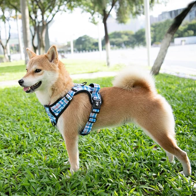 PoyPet Plaid Dog Harness Large, No Pull Vest with Front Clip & Neck Buckle | Padded Handle, Reflective, No Choke, Lockable, 2 Leash Rings, Full Adjustable, for Training Walking, L, Checkered Blue - Image 2