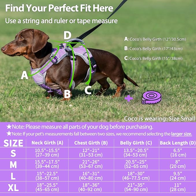 Escape Proof Dog Harness, Dachshund Harness, Reflective Dog Harness with Handle, Durable,Adjustable Vest for Small Medium Large Dogs Walking, Training, and Running Gear (Lavender Purple,S) - Image 6