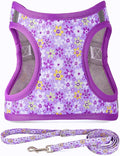 Step in Dog Harness Leash Set- All Weather Reflective No-Pull Floral Pattern Padded Mesh Vest Harness for Cats Puppy Extra-Small Small Medium Large Dogs - Purple Flower - S by MOONPET