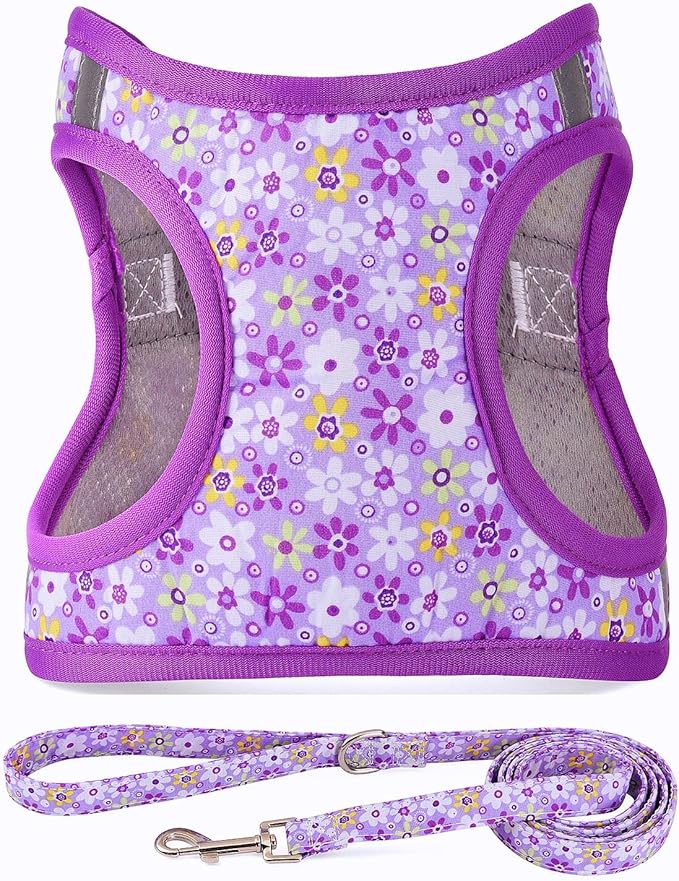 Step in Dog Harness Leash Set- All Weather Reflective No-Pull Floral Pattern Padded Mesh Vest Harness for Cats Puppy Extra-Small Small Medium Large Dogs - Purple Flower - S by MOONPET