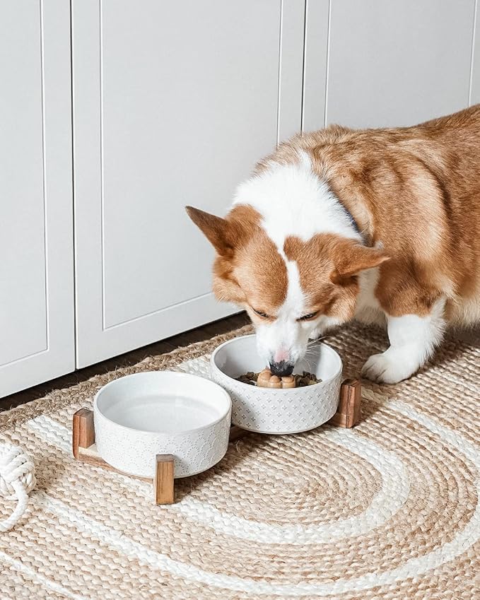 LE TAUCI Dog Bowls Ceramic for Small Medium Dogs - 4-Cup Dual Food & Water Bowl Set with Acacia Wood Stand, Non-Slip Anti-Tip Elevated Design - Image 2