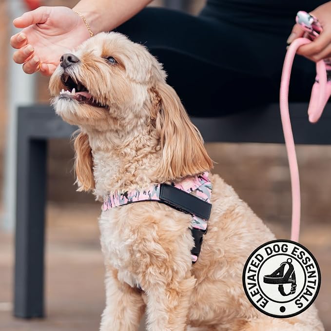 Dog Friendly Co. Dog Harness for Small Dogs (Pink Camo, XXSmall) | One Click Buckle, Chafe Resistant Webbing, Adjustable Neck & Chest, and Heavy Duty D-Ring, Sturdy Comfortable and Easy to Use - Image 5