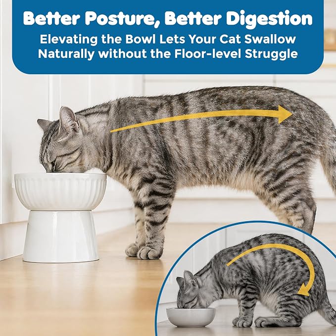 SunGrow Ceramic Cat Bowl with Stand, Suitable Eating Height for Pets, Raised Food Bowl, Mealtime for Your Cats, Stoneware Feeding Station - Image 4