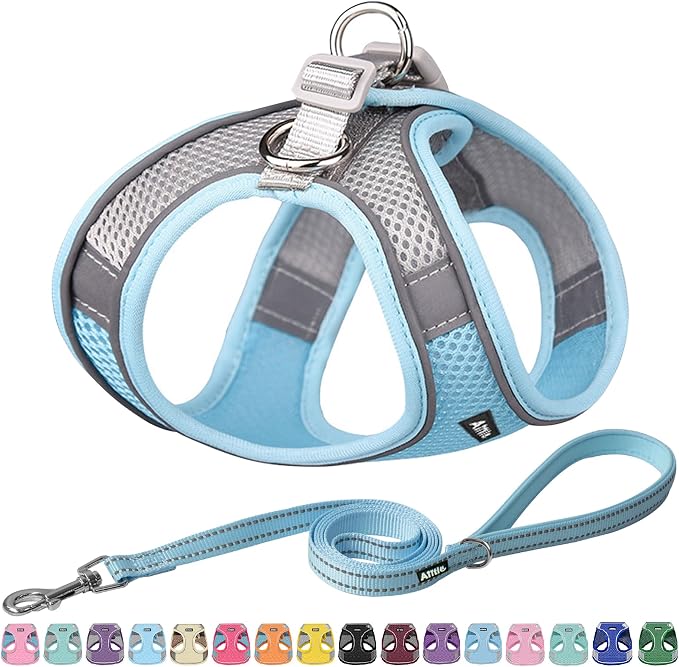 AIITLE Medium Dog Harness and Leash Set, Step-in Puppy Pet Vest, Blue L | Light, Soft, Breathable Air Mesh, Escape-Proof, Easy on and Remove with Hook & Loop, Secure Reflective for Walking by AIITLE-FORPETSBETTERLIFE