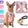 BEAUTYZOO Small Dog Harness and Leash Set,No Pull Puppy Pet Vest- Floral, S | Step-in Easy On/Off, All Season Breathable Mesh,Escape-Proof Hook & Loop,Lightweight Reflective,No Choke,Easy Walking Control by BEAUTYZOO