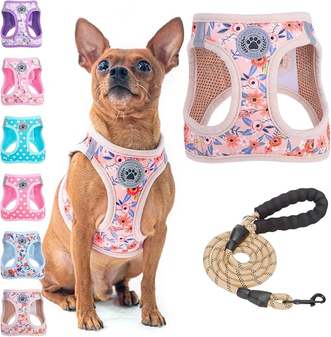 BEAUTYZOO Small Dog Harness and Leash Set,No Pull Puppy Pet Vest- Floral, S | Step-in Easy On/Off, All Season Breathable Mesh,Escape-Proof Hook & Loop,Lightweight Reflective,No Choke,Easy Walking Control by BEAUTYZOO