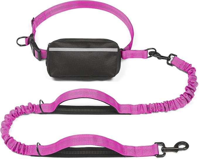 Hands Free Dog Leash with Zipper Pouch, Large, 25-120LB, Very Berry | Waist Leash, Dual Padded Handles, Shock-Absorbing Bungee, Adjustable Waist Belt, Walking and Running by iYoShop