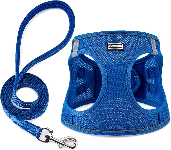 Dog Harness with Leash Set, Step-in Adjustable Puppy Pet Vest, Blue XXS | Lightweight Breathable Air Mesh, Night Safety Reflective, No Pull Puppy Vest Harnesses for Small Medium Large Dogs, Cats by BOOMIBOO