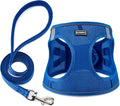 Dog Harness with Leash Set, Step-in Adjustable Puppy Pet Vest, Blue XXS | Lightweight Breathable Air Mesh, Night Safety Reflective, No Pull Puppy Vest Harnesses for Small Medium Large Dogs, Cats by BOOMIBOO