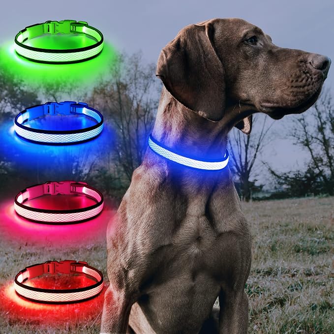 BSEEN Light Up Dog Collar, Reflective LED Puppy Collar Rechargeable Glow in the Dark Dog Lights for Night Walking (Small, Blue) - Image 8