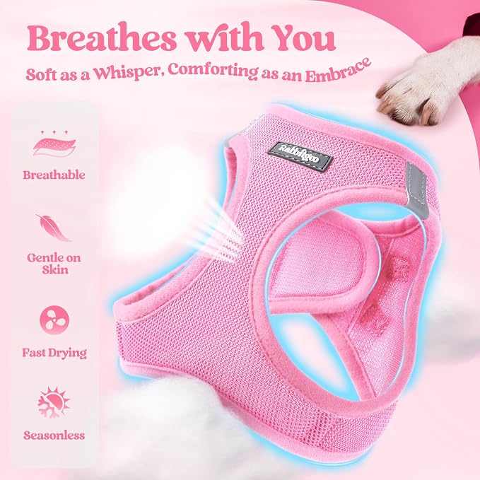rabbitgoo Dog Harness Medium Sized and Leash Set, Step-in Puppy Pet Vest | Light, Soft, Breathable Air Mesh, Easy on and Remove with Hook & Loop, Secure Reflective for Walking, Light Pink XL - Image 3