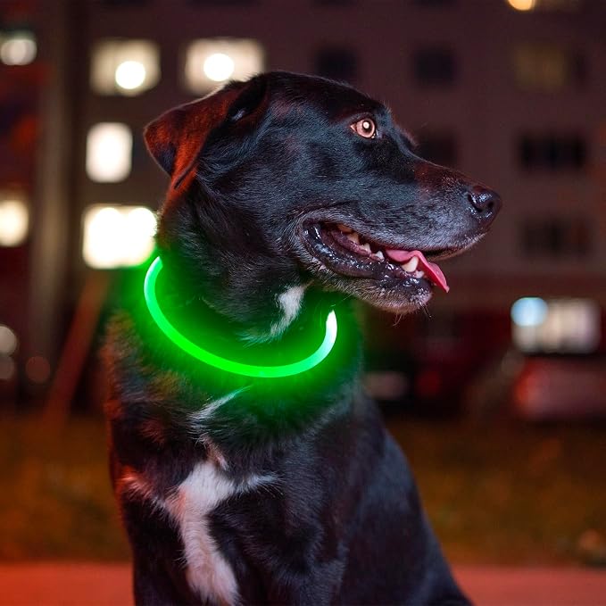 Led Dog Collar, BSEEN USB Rechargeable Flash Light up Dog Collar | Pet Safety Necklace Makes Your Beloved Dogs Be Seen at Night for Small Medium Large Dogs(Green) - Image 6